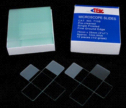 Singe Frosted Microscope Slides